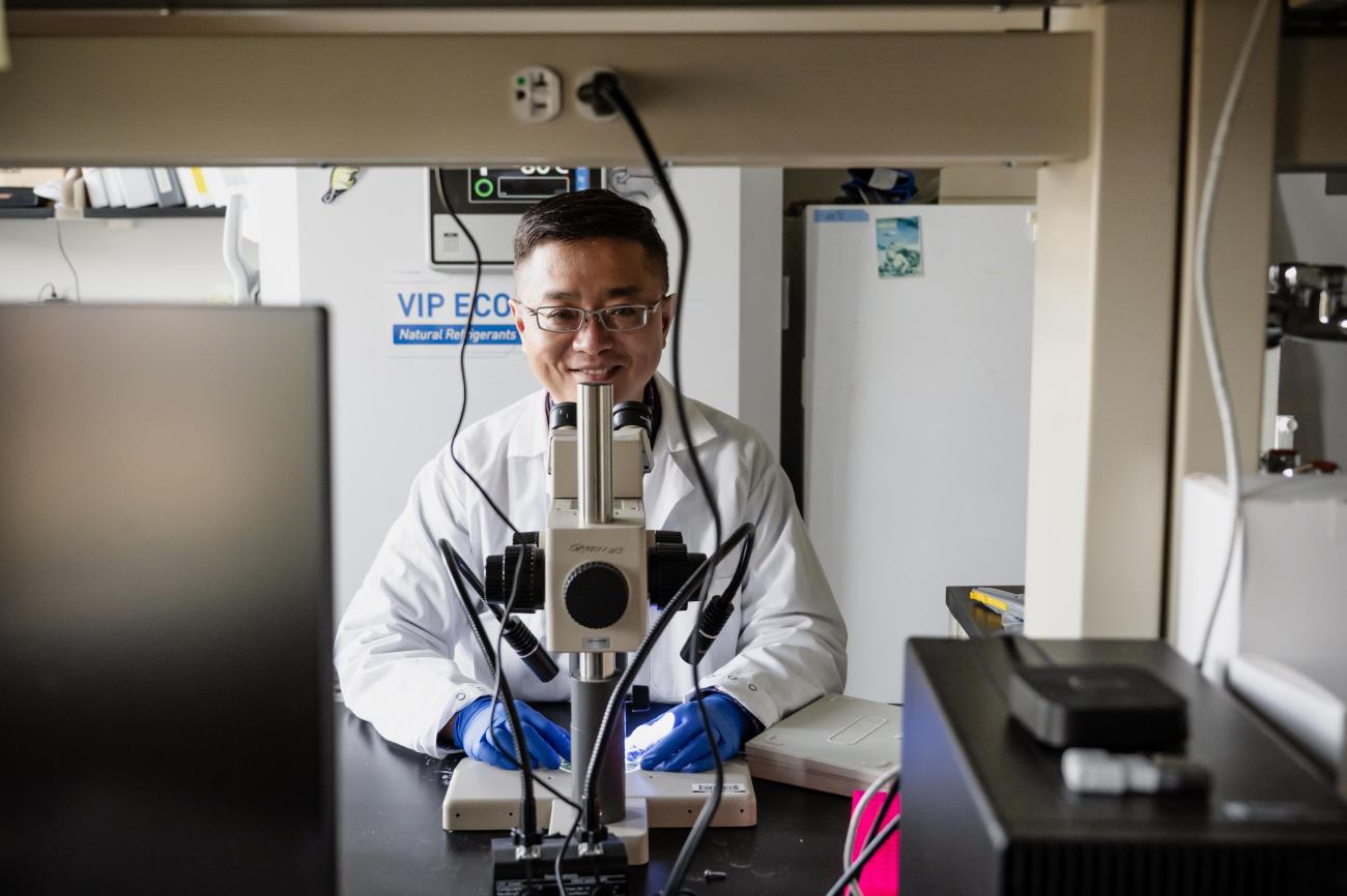 Rewiring the Brain | College of Arts and Sciences
